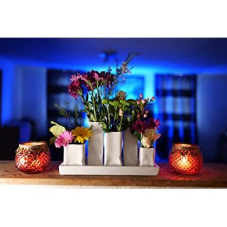 Jinfa Handgefertigte kleine Keramik Deko Blumenvasen Set aus 5 Vasen in wei�