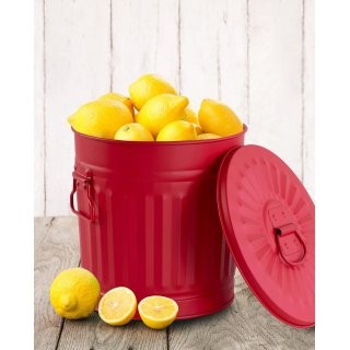 Jinfa | Cubo de basura de metal galvanizado con asas y tapa | Rojo | Di�metro � 21,5 cm - Altura 21,5 cm | Capacidad: 7 litros