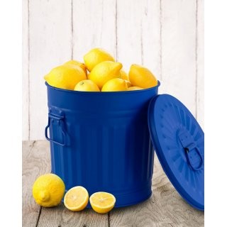 Jinfa | Cubo de basura de metal galvanizado con asas y tapa | Azul | Di�metro � 21,5 cm - Altura 21,5 cm | Capacidad: 7 litros