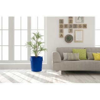 Jinfa | Cubo de basura de metal galvanizado con asas y tapa | Azul | Di�metro � 36 cm - Altura 36,5 cm | Capacidad: 35 litros