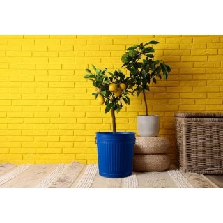 Jinfa� | Bidone della spazzatura in metallo con manici e coperchio | Blu | � 36 cm, h 36,5 cm | Capienza 35 litri