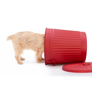 Jinfa� | Bidone della spazzatura in metallo con manici e coperchio | Rosso | � 29 cm, h 31,5 cm | Capienza 18 litri