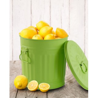 Jinfa� | Piccolo bidone della spazzatura in metallo con manici e coperchio | Verde | � 21,5 cm, h 21,5 cm | Capienza 7 litri