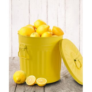 Jinfa Metall M�lleimer mit Deckel und Tragegriffen ? f�r gelben Sack,Pfandbeh�lter,Kamin Ascheeimer,Futtertonne,Pelletbeh�lter | Gelb | 7L
