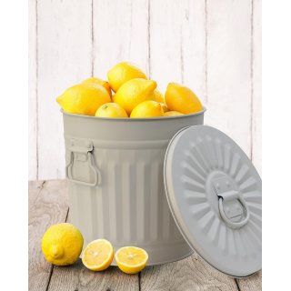 Jinfa� | Piccolo bidone della spazzatura in metallo con manici e coperchio | Grigio | � 21,5 cm, h 21,5 cm | Capienza 7 litri