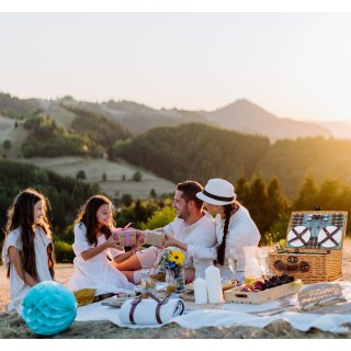eGenuss Picknickkorb fr 4 Personen mit Khlfach und Zubehr - Grn