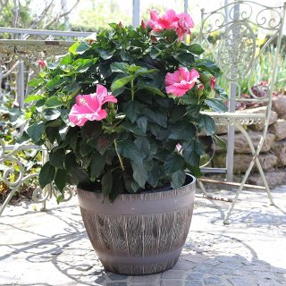 Jinfa | Pot de fleurs en plastique demi-tonneau | Marron rustique | HDFG-052-B | Diamtre : 37,5 cm, Hauteur : 27 cm | Idal pour lintrieur et lextrieur