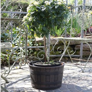 Jinfa | Pot de fleurs en plastique demi-tonneau | Marron fonc | HDFG-175-A | Diamtre : 35 cm, Hauteur : 24 cm | Idal pour lintrieur et lextrieur