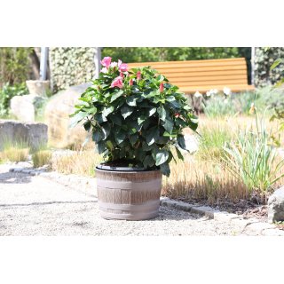 Jinfa 1 Blumenkbel aus Kunststoff in Holzoptik | Farbe: Eiche | Design: Barrique |  36 cm
