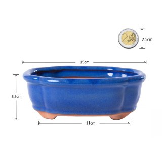 Jinfa 2 glasierte Keramik Bonsai Tpfe mit Entwsserungslchern + 2 Drainagegitter | Blau