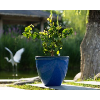 Jinfa Blumenkbel aus Kunststoff in glasierter Keramikoptik | Farbe: Marineblau | Design: Santorini |  39.5 cm x H 33.5 cm | 1 Stck