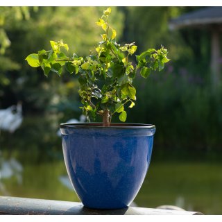 Jinfa Blumenkbel aus Kunststoff in glasierter Keramikoptik | Farbe: Marineblau | Design: Santorini |  39.5 cm x H 33.5 cm | 1 Stck