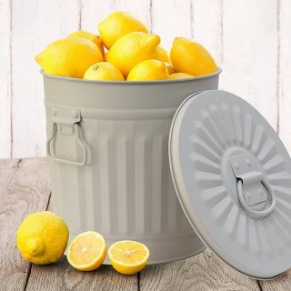 Jinfa 4er-Set Retrodesign Mlleimer mit Griffen und Deckel + 50 Mllbeutel | Grau| 18L