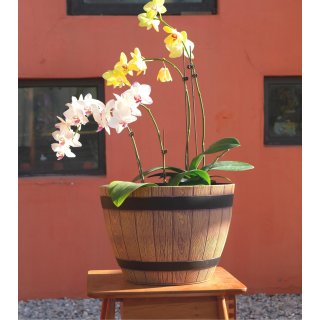 Jinfa 2er-Set Blumenkbel aus Kunststoff in Holzoptik | Farbe: Walnuss | Design: Weinfass |  38 cm