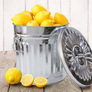 Jinfa 4er-Set Retrodesign M�lleimer mit Griffen und Deckel + 50 M�llbeutel | Zink| 18L