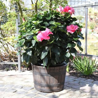 Jinfa 3er-Set Blumenkbel aus Kunststoff in Holzoptik | Farbe: Kastanie | Design: Barrique |  36 cm