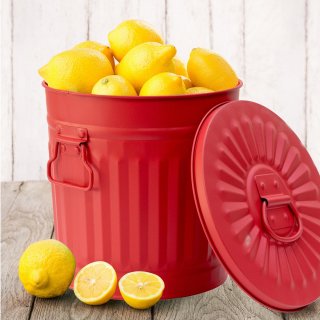 Jinfa 2er-Set Retrodesign Mlleimer mit Griffen und Deckel + 50 Mllbeutel | Rot | 18L