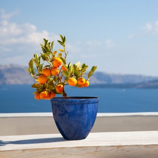 Jinfa Blumenkbel aus Kunststoff in glasierter...