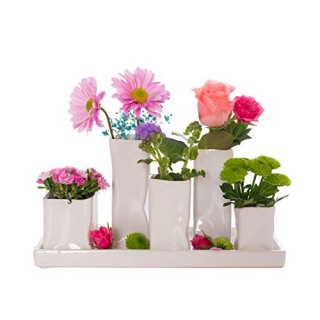 Jinfa Assortiment de 5 Vases � Fleurs en C�ramique - Pots de Fleurs D�coratifs - 1 Plateau de 5 Vases Blancs