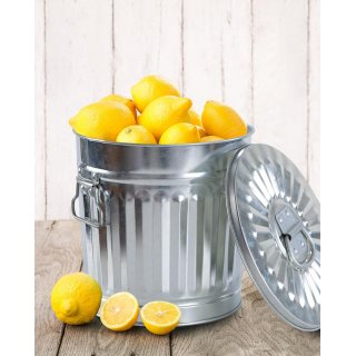 Jinfa Metall M�lleimer mit Deckel und Tragegriffen - f�r gelben Sack,Pfandbeh�lter,Kamin Ascheeimer,Futtertonne,Pelletbeh�lter | Silber | 7L