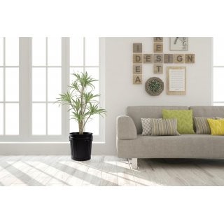 Jinfa | Cubo de basura de metal galvanizado con asas y tapa | Negro Mate | Di�metro � 29 cm - Altura 31,5 cm | Capacidad: 18 litros